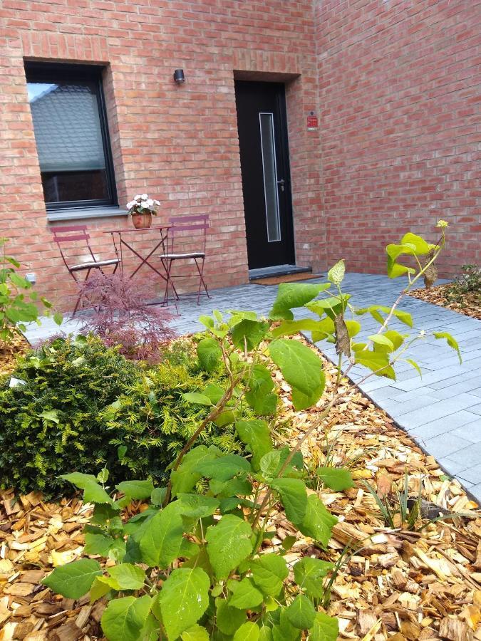 Les Agapanthes Bed and Breakfast Camphin-en-Pevele Buitenkant foto